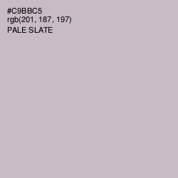 #C9BBC5 - Pale Slate Color Image